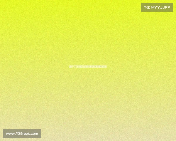 悉尼FC近期赛事深度解析回顾比赛亮点与展望未来征程