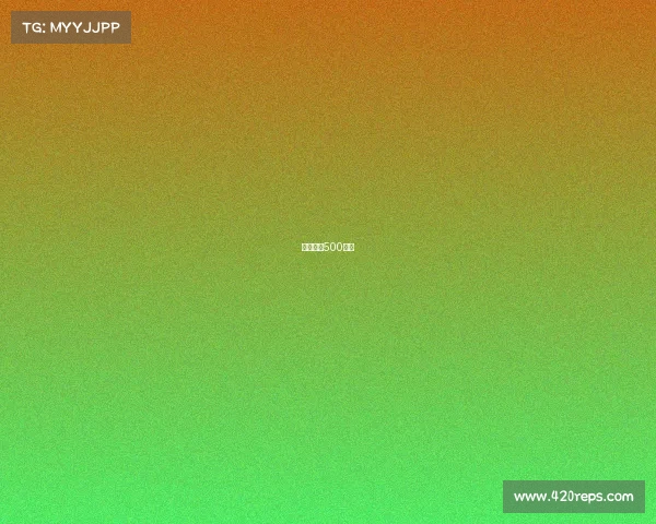 山形赛事500彩票